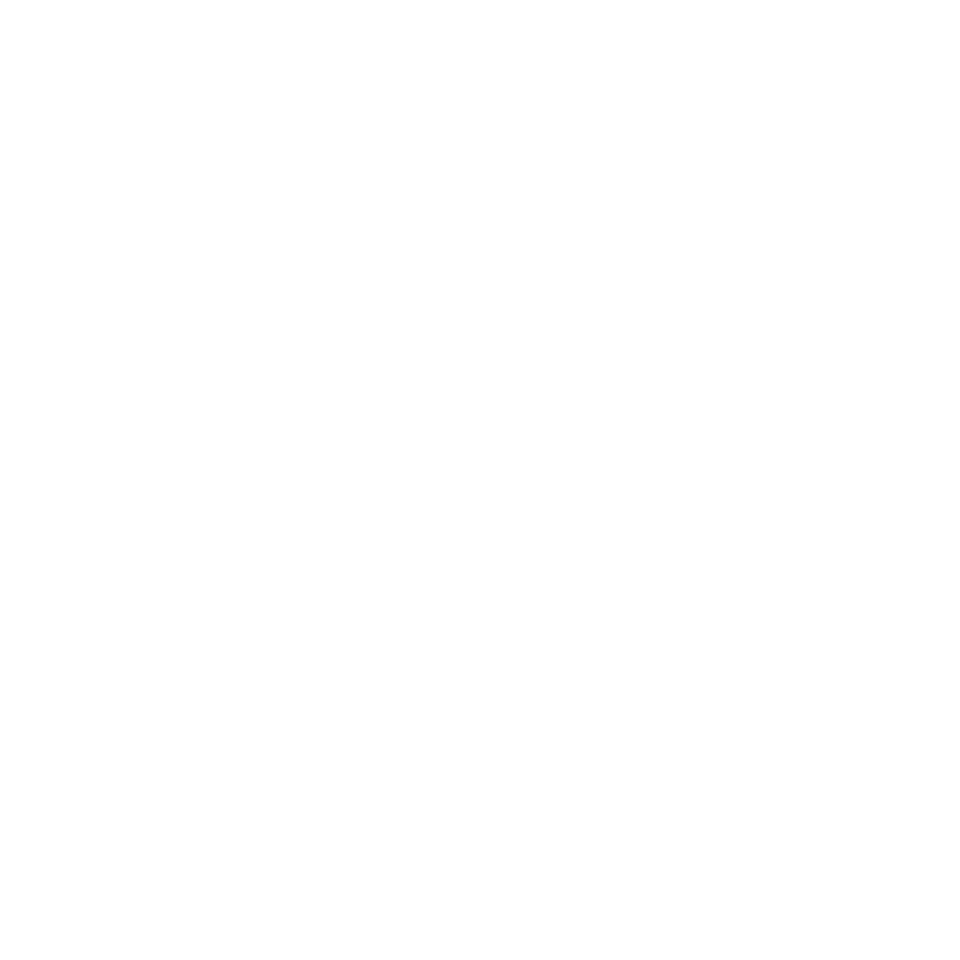 Target audience icon