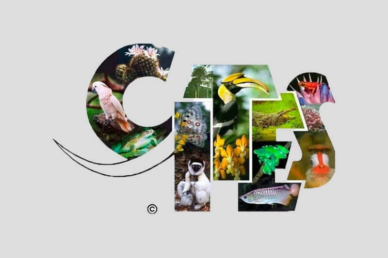 cites-namm-endangered-species.jpg