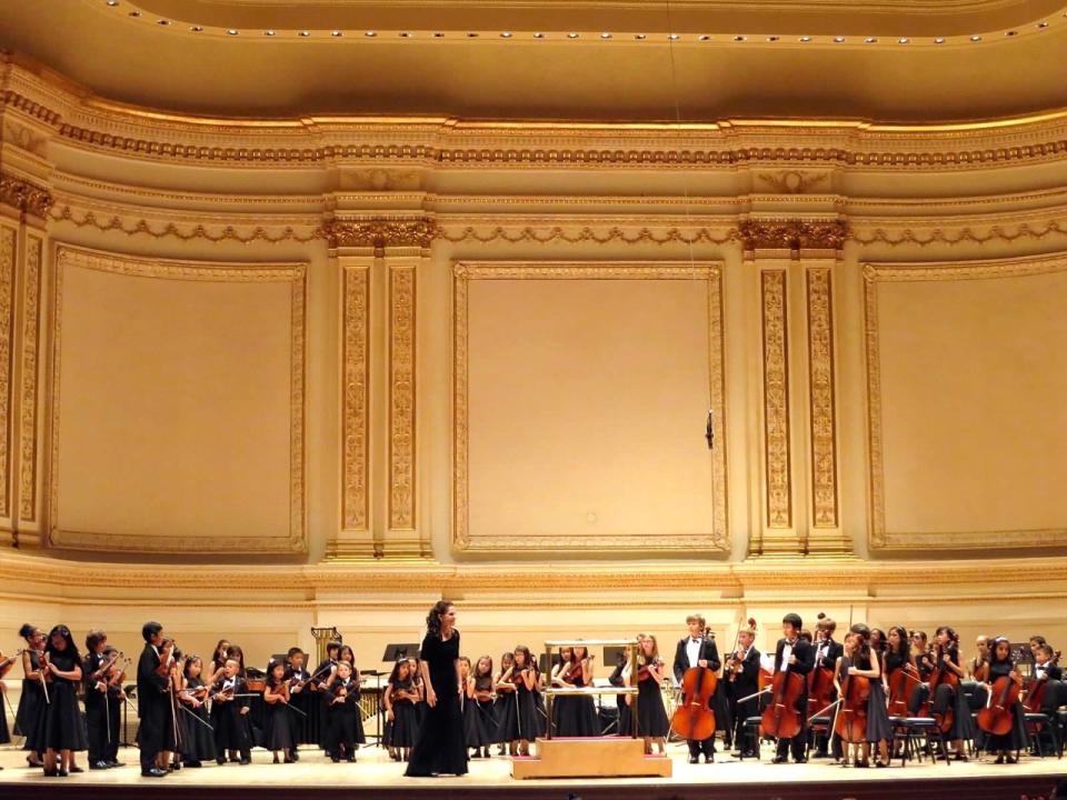 Carnegie stage Pascale.jpg