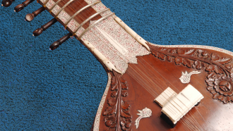 wood lute with ivory