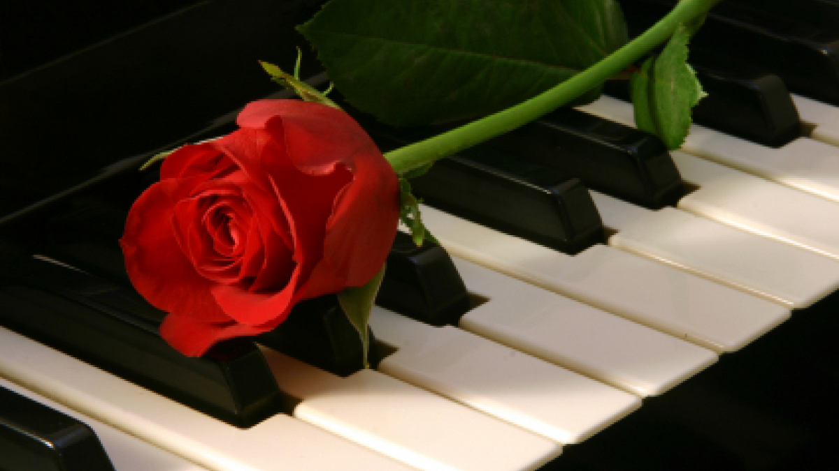 Piano Keys Lounge 88